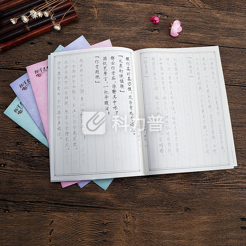 绍泽文化 瘦金体成人硬笔临摹练字帖 描红练字本10本装