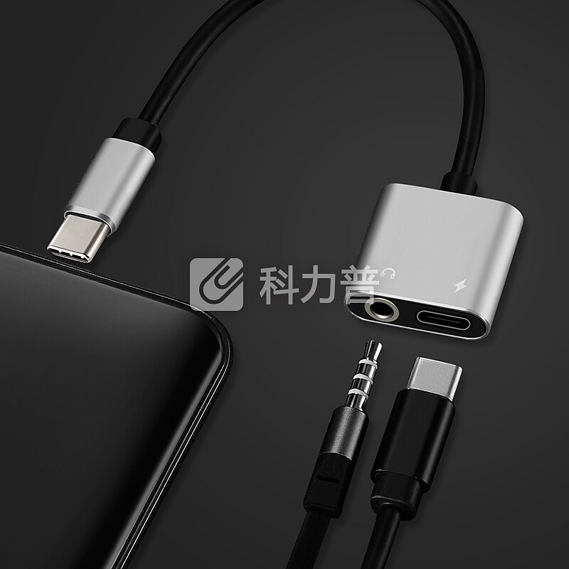 颜良 颜良FSC Type-c转换线耳机转接头3.5mm转换器二合一苹果小米华为通用自营 黑色