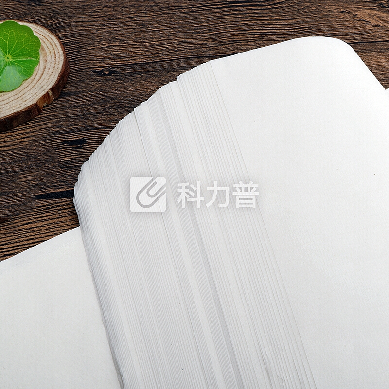 绍泽文化 文房四宝宣纸 毛笔书法书画练习用纸 生宣四尺四开 100张/刀