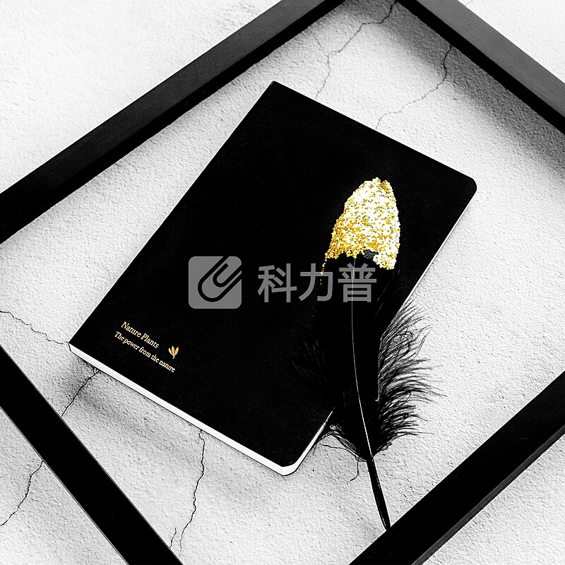 kinbor精装皮面方格手账本文具礼盒套装(日程计划手帐记事本子/钢笔/2卷和纸胶带)JOY与花DTB8040