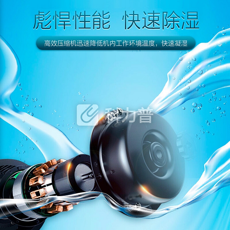 格力(GREE)抽湿机/除湿机 家用卧室办公室静音干衣机除湿器12升/天 适用面积18-22平方米 卧室DH12EA