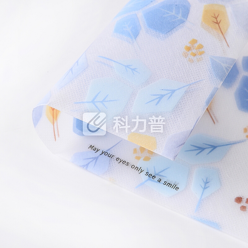 文谷(wengu)12个装A4透明按扣文件袋公文袋档案袋学生用试卷收纳袋 小清新初高中生资料袋 花名D330