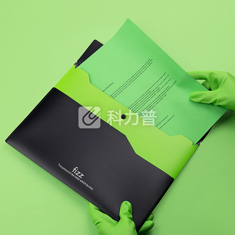 飞兹(fizz)加厚双层按扣文件袋/彩色档案袋资料袋/办公用品 绿色FZ103002