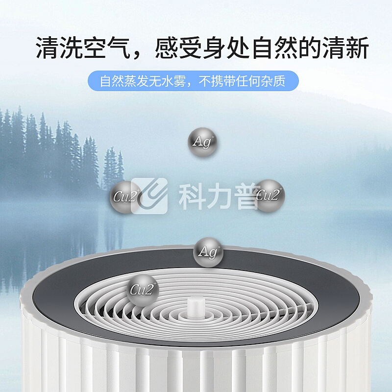 韩国大宇(DAEWOO)加湿器卧室空气净化智能恒湿上加水无雾静音办公室家用 净化加湿器-标配款