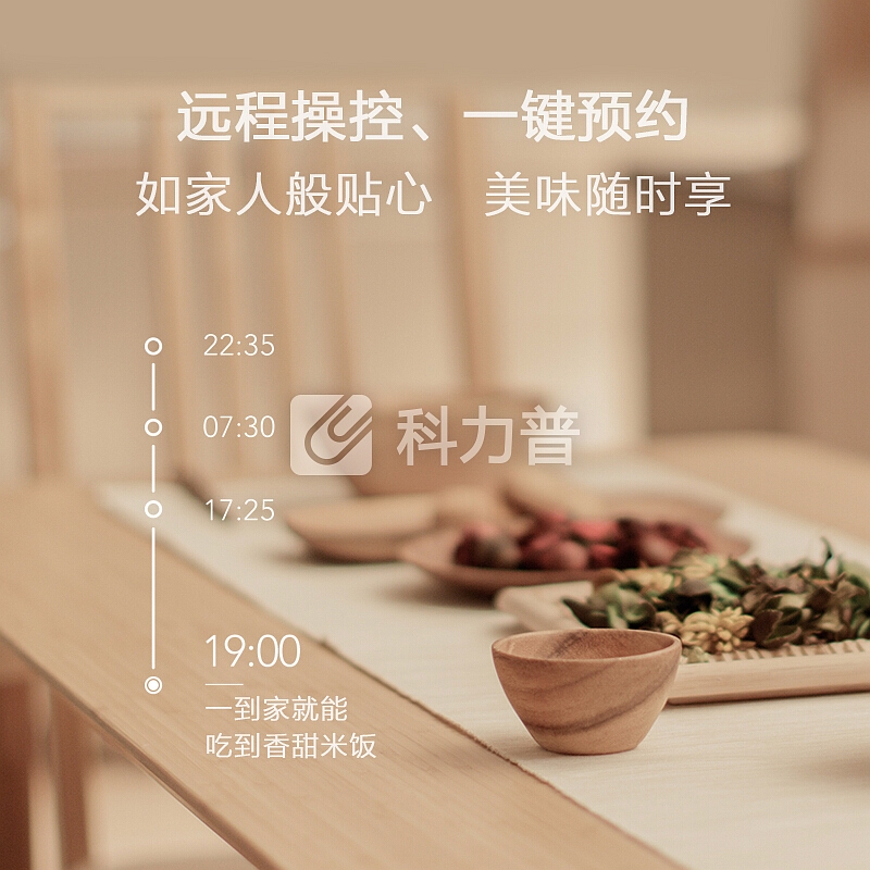 米家(MIJIA)压力IH电饭煲 小米电饭锅 3L 智能电脑煲 微压加热技术 智能预约/智能烹饪 手工灰铸铁内胆