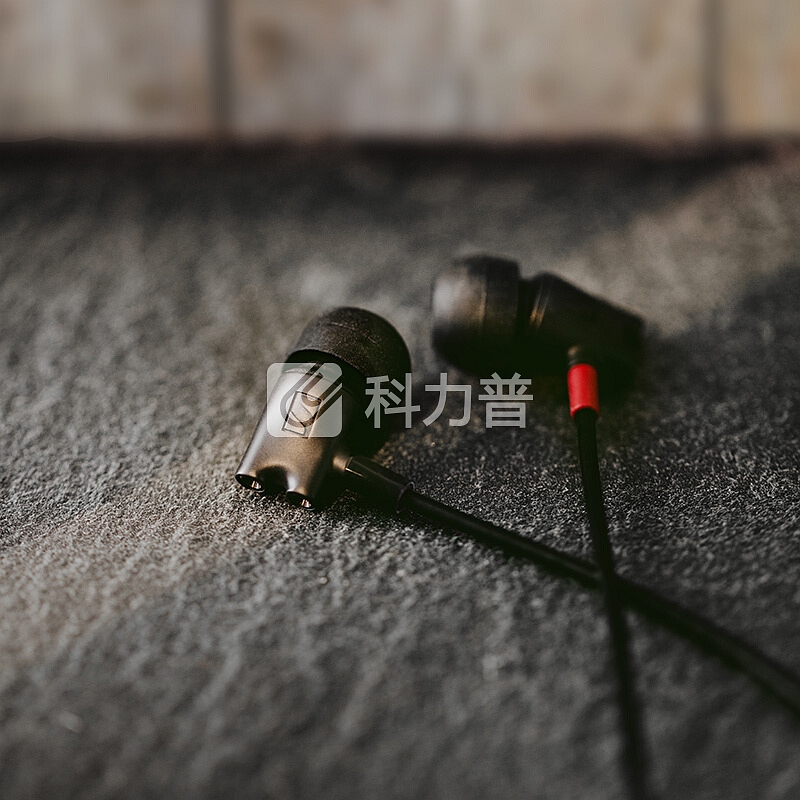 森海塞尔(Sennheiser)IE800S 旗舰级高保真HiFi入耳式音乐耳机 黑色