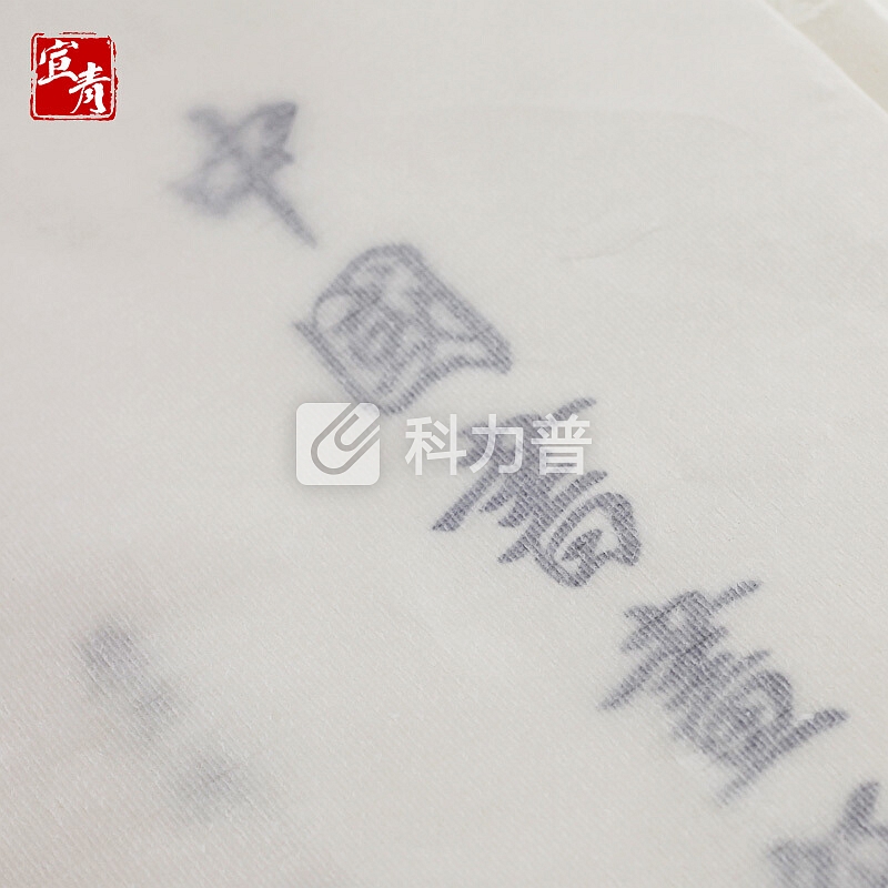 宣青 生宣纸书法国画专用作品纸工笔画小楷四尺六尺对开生宣初学者用纸毛笔字纸10开 MCCA0017