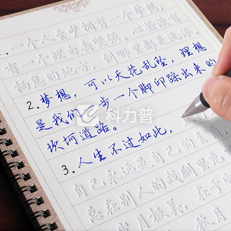 南国书香字帖升级12本成人练字帖男女生文具行书速成行楷书钢笔硬笔临摹字帖升级套装