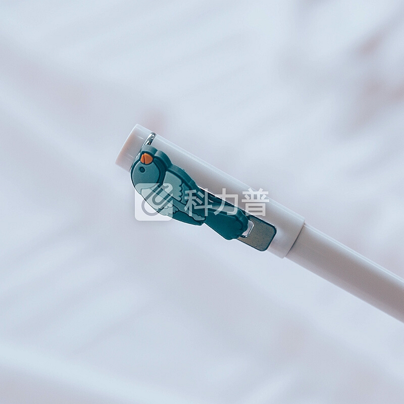 kinbor×知否 钢笔文具礼盒套装(EF明尖签字墨水笔/吸墨器/墨囊) 喜上眉梢(粉)DTB6532