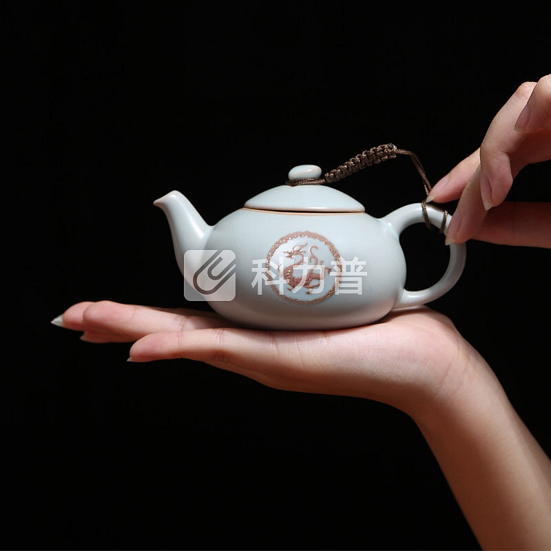 东道 东道 汝窑茶具送礼整套茶具套装汝瓷开片可养一壶三杯