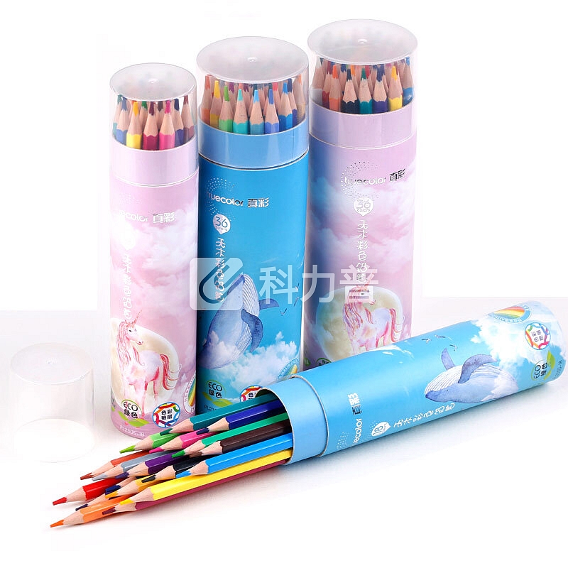 真彩(TRUECOLOR)12色无木六角杆彩色铅笔彩铅 涂色填色彩笔绘画上色笔 学生成人艺术写生笔 粉桶/PL2305