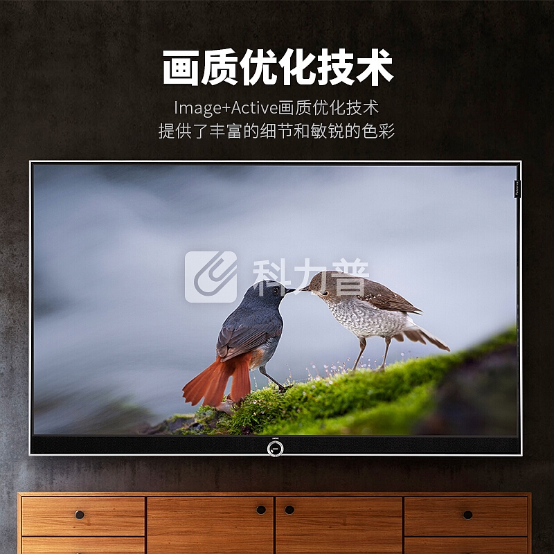 勒维 (LOEWE) 电视 85英寸超级大屏 智能平板电视 德国原装进口 高端缔造者Ref 85