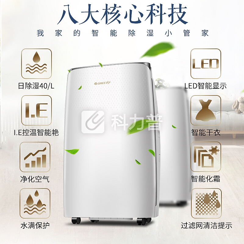 格力(GREE)家用除湿机地下室智能数控静音抽湿机/除湿器/干衣机/干燥机 全屋除湿干衣净化 DH40EF(40升/天)