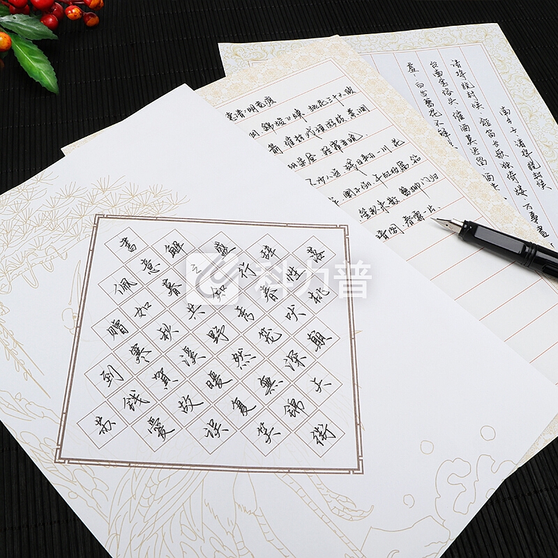绍泽文化 硬笔书法作品专用纸 A款32张 钢笔练字文具用品