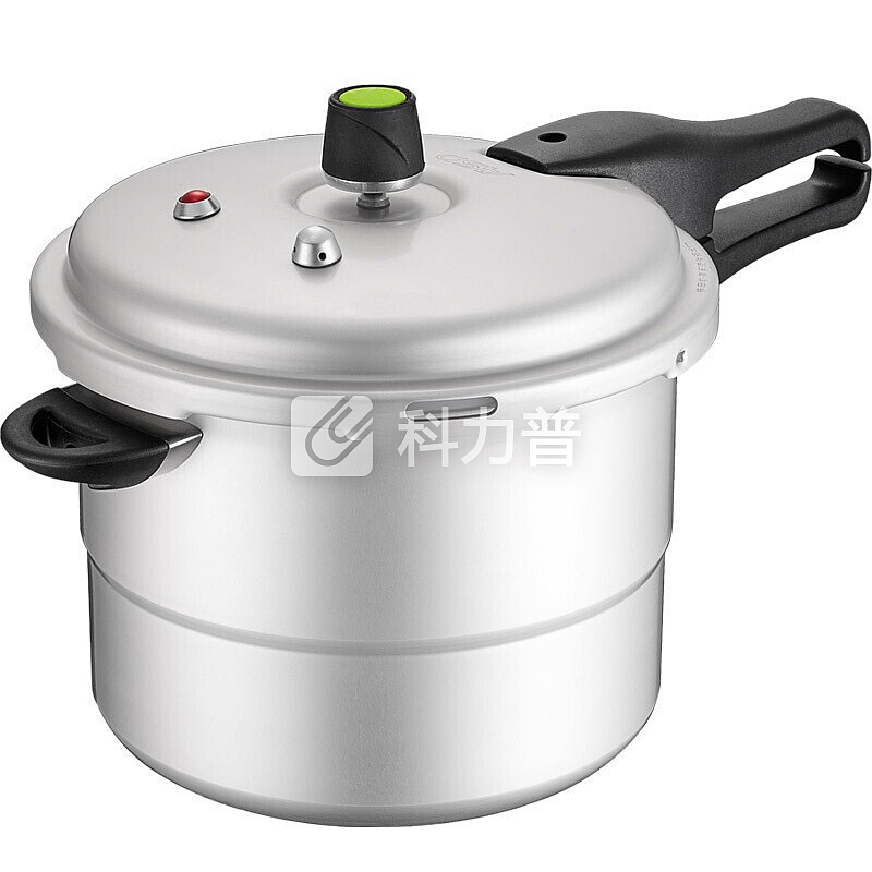 爱仕达 ASD 爱仕达 高压锅压力锅焖煮锅炖汤锅 家用复底加厚大汤锅 六重保护炖骨头锅 煤气灶液化气天然气专用锅具 不锈钢色 22CM