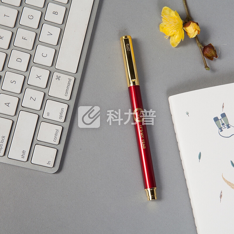 晨光 M＆G 晨光（M&G）史努比金属黑色0.5mm子弹头中性笔签字笔水笔单只装SGPW1611 史努比0.5黑色