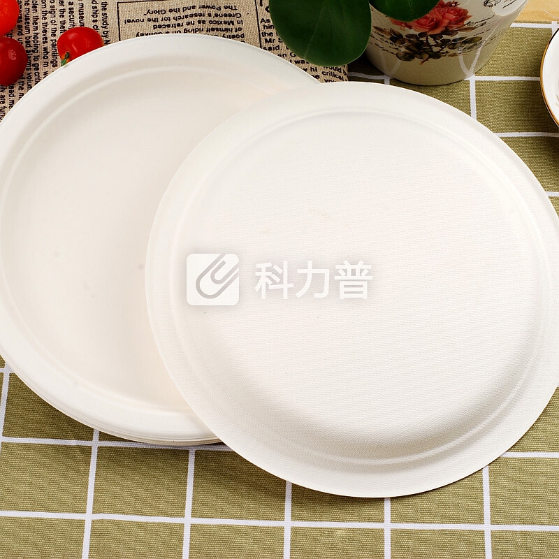 宜洁 宜洁 一次性餐碟户外烧烤可降解纸盘7寸圆盘10只/袋Y-9722
