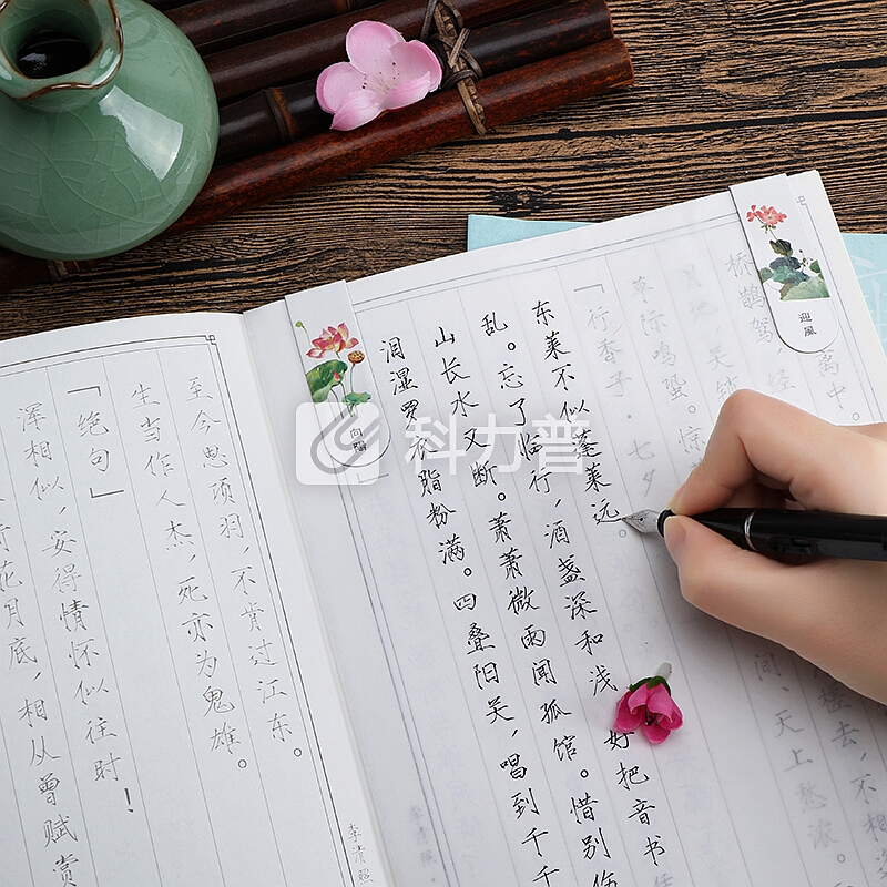 绍泽文化 瘦金体成人硬笔临摹练字帖 描红练字本10本装