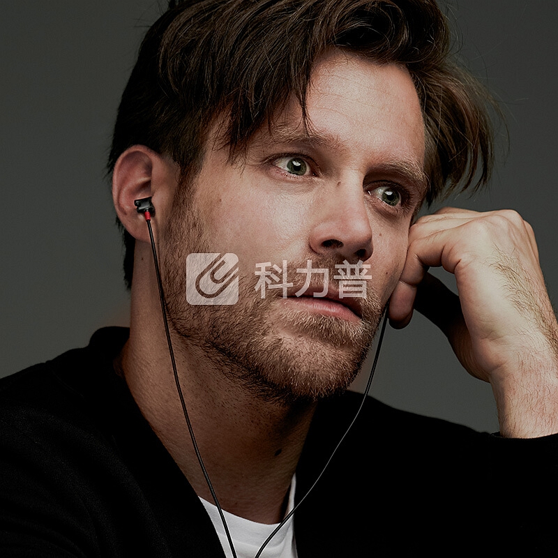 森海塞尔(Sennheiser)IE800S 旗舰级高保真HiFi入耳式音乐耳机 黑色