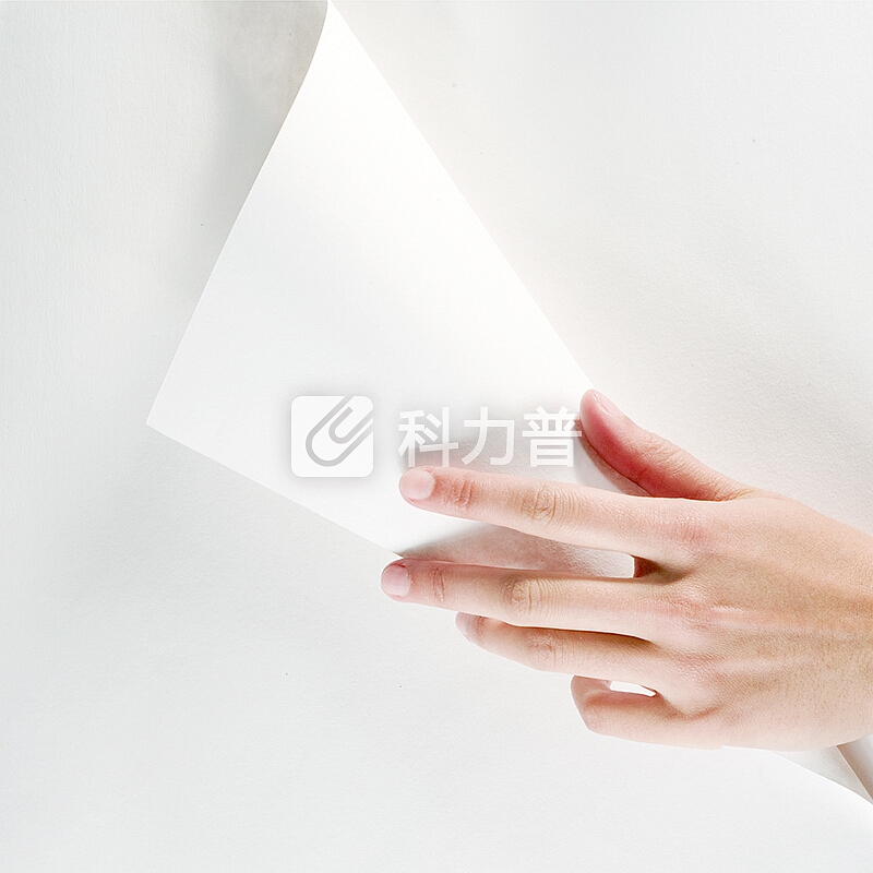 得力(deli)莱茵河5包装70gA4复印纸 500张/包 整箱2500张
