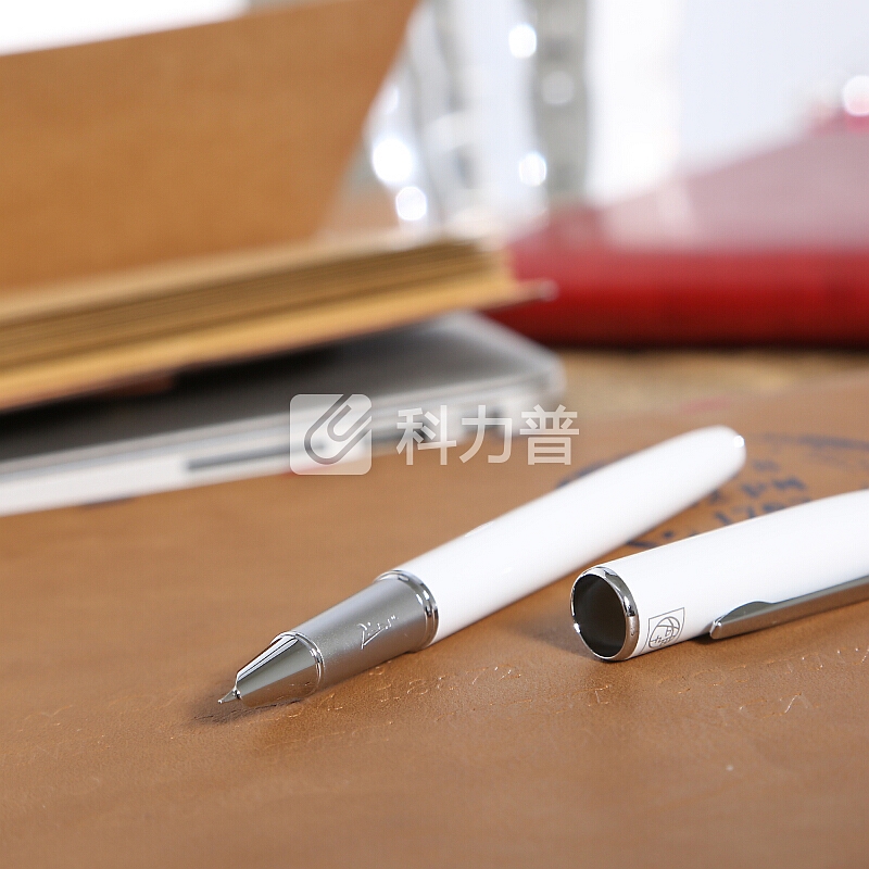 毕加索(pimio)钢笔财务笔特细0.38mm笔尖男女士成人学生用练字笔马拉加系列916慕白色