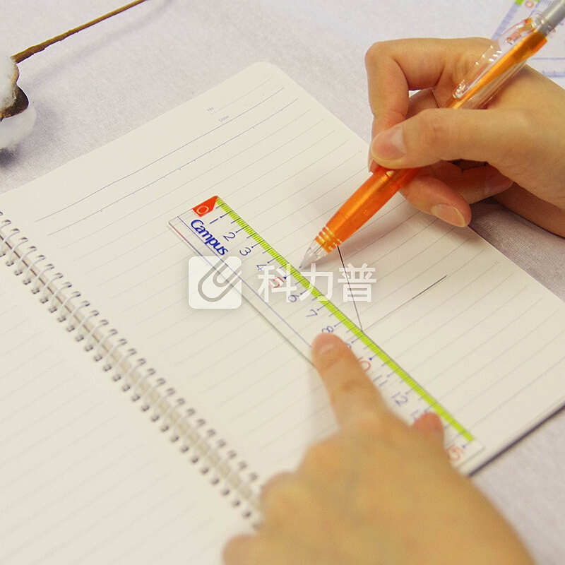 日本国誉(KOKUYO)Campus Kids学生办公用动物图案直尺刻度尺 18cm 动物图案185*25*2mm WSG-CLK18-1