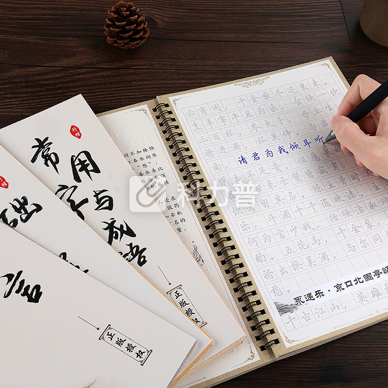 南国书香字帖升级12本成人练字帖男女生文具行书速成行楷书钢笔硬笔临摹字帖升级套装