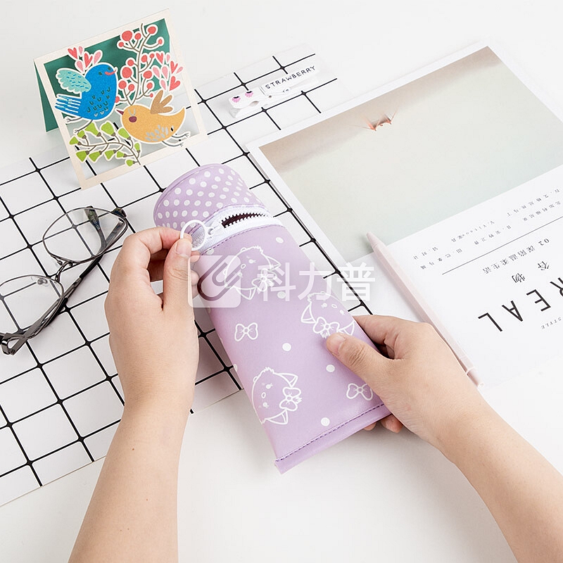 广博(GuangBo)广博(GuangBo)创意造型铅笔袋/文具袋学生学习用品 迪士尼颜色随机 单个装ITT35004