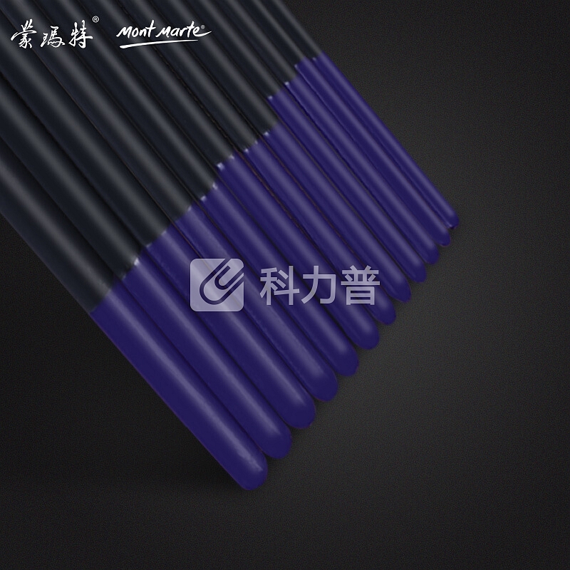澳洲蒙玛特 Mont Marte 12支装水粉丙烯颜料猪鬃扁峰画笔 BMSS0002
