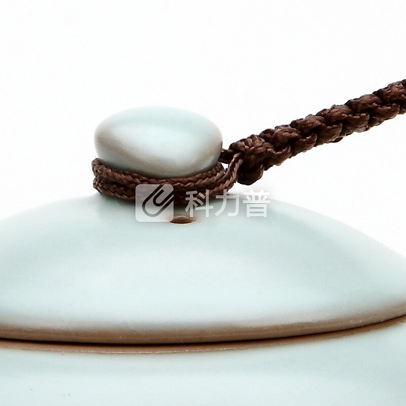 东道 东道 汝窑茶具送礼整套茶具套装汝瓷开片可养一壶三杯