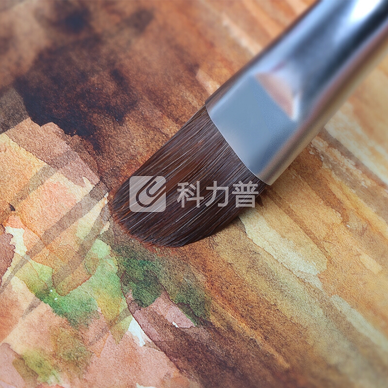 绍泽文化 多规格美术画笔 6支套装 学生水彩笔绘画文具组合 大黄蜂