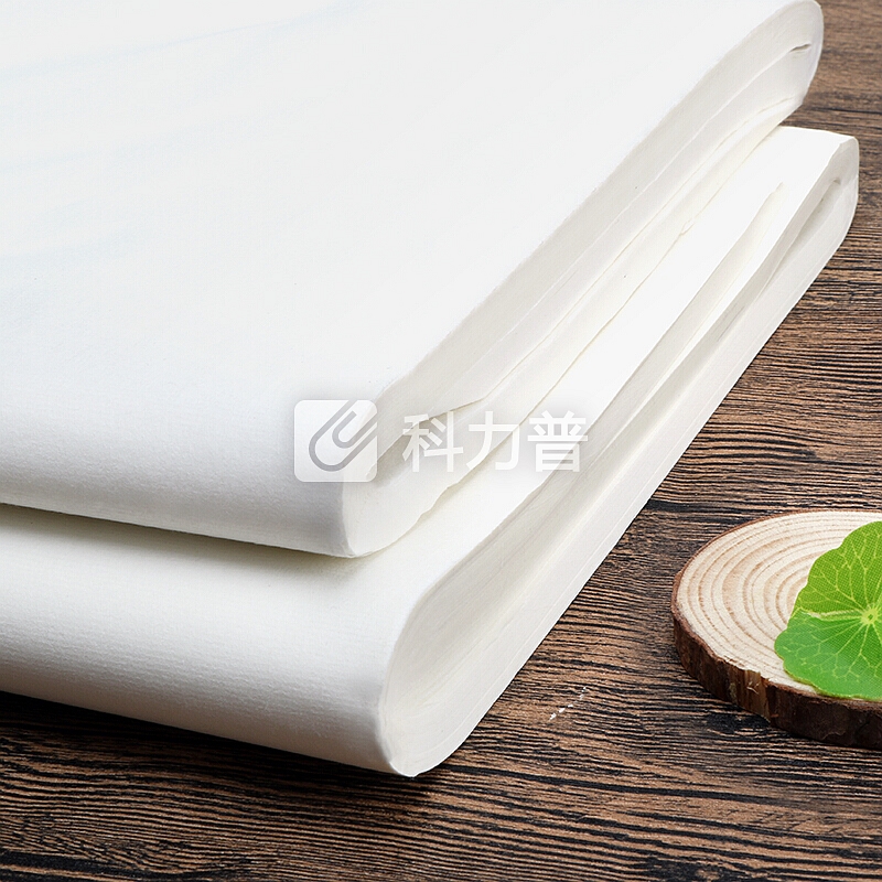 绍泽文化 文房四宝宣纸 毛笔书法书画练习用纸 生宣四尺四开 100张/刀