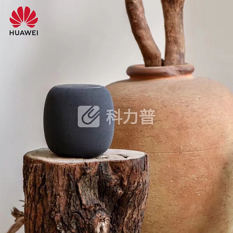 华为(HUAWEI)智能音箱 小艺音箱 人工智能AI音箱 WiFi蓝牙音响 丹拿联合调音 声控家电 太空黑