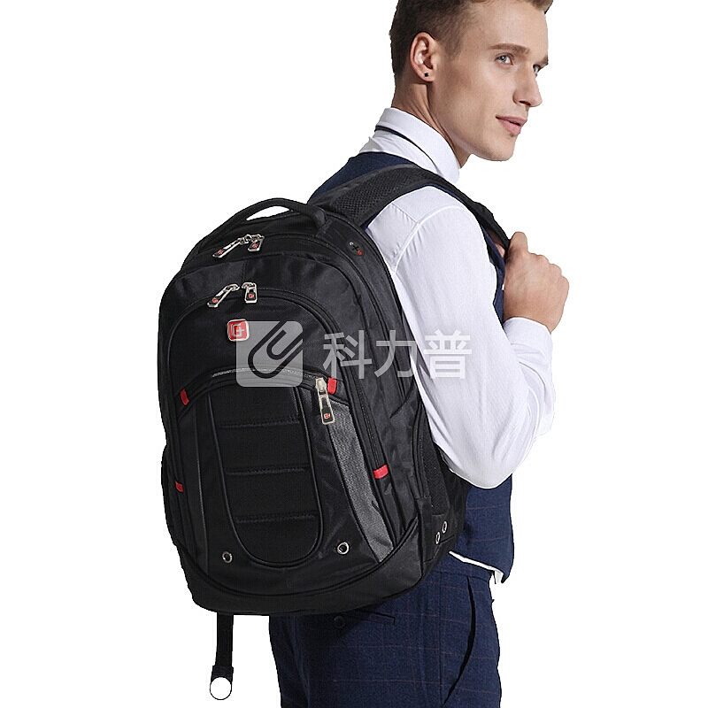 SVVISSGEM 双肩包书包 防水商务笔记本电脑包15.6英寸 大容量双肩背包男 SA-9360III黑色