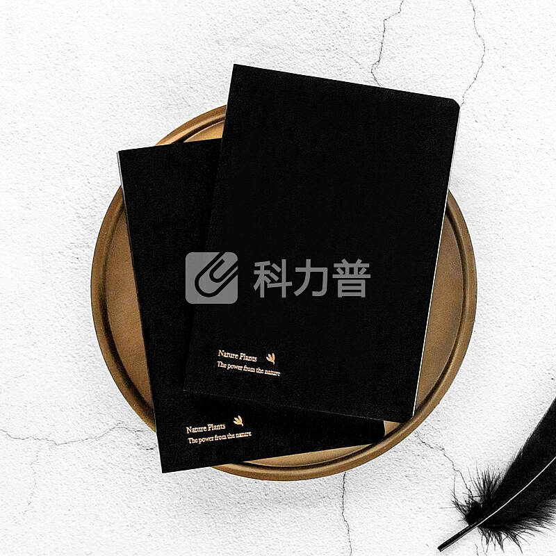 kinbor精装皮面方格手账本文具礼盒套装(日程计划手帐记事本子/钢笔/2卷和纸胶带)JOY与花DTB8040