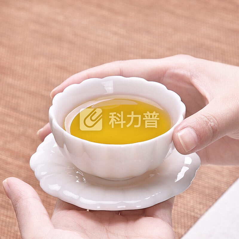 豪峰 豪峰整套功夫陶瓷茶具套装茶壶茶杯盖碗茶杯整套家用办公旅行礼盒德化玉瓷白瓷套装【白瓷+春色一壶二杯】