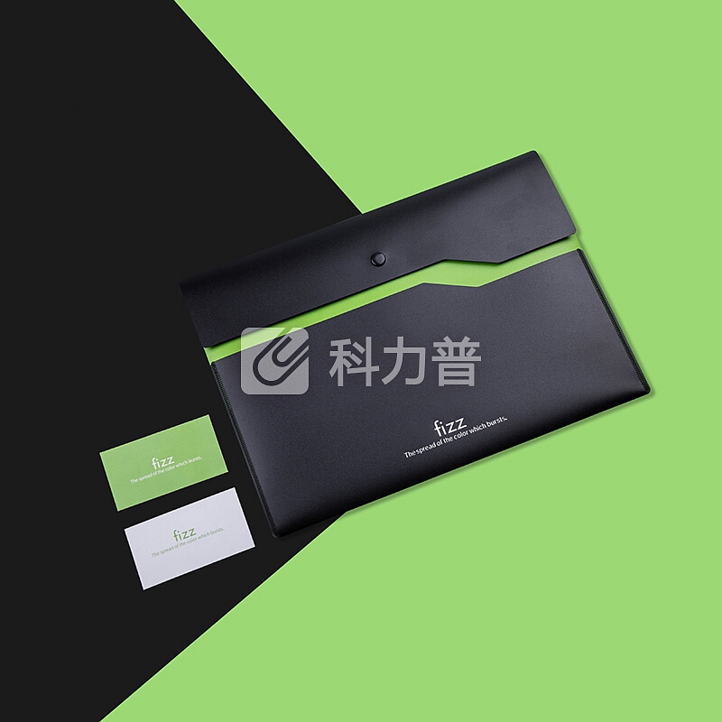 飞兹(fizz)加厚双层按扣文件袋/彩色档案袋资料袋/办公用品 绿色FZ103002