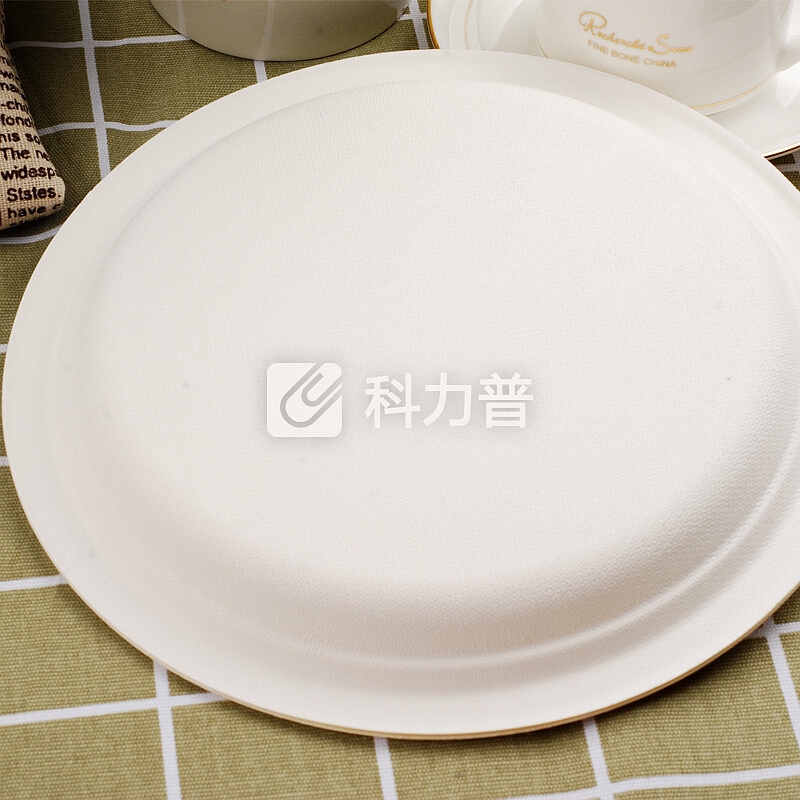 宜洁 宜洁 一次性餐碟户外烧烤可降解纸盘7寸圆盘10只/袋Y-9722