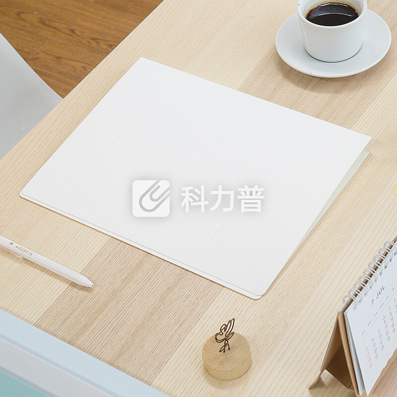 得力(deli)乐素系列A4单强力夹+插袋文件夹资料夹 学生收纳夹 层云白