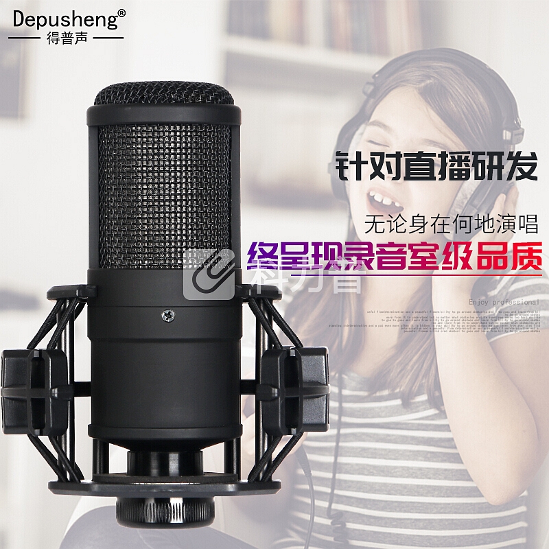 depusheng 得普声I10专业手机电脑声卡套装抖音吃鸡全民K歌快手直播外置声卡K歌麦克风设备 I10豪华声卡套装