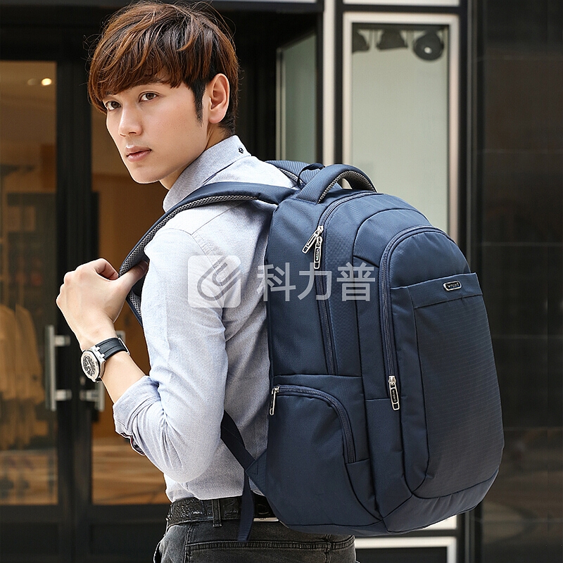 威豹(WINPARD)电脑包15英寸学生书包 商务休闲旅行双肩背包休闲包 99039深蓝色