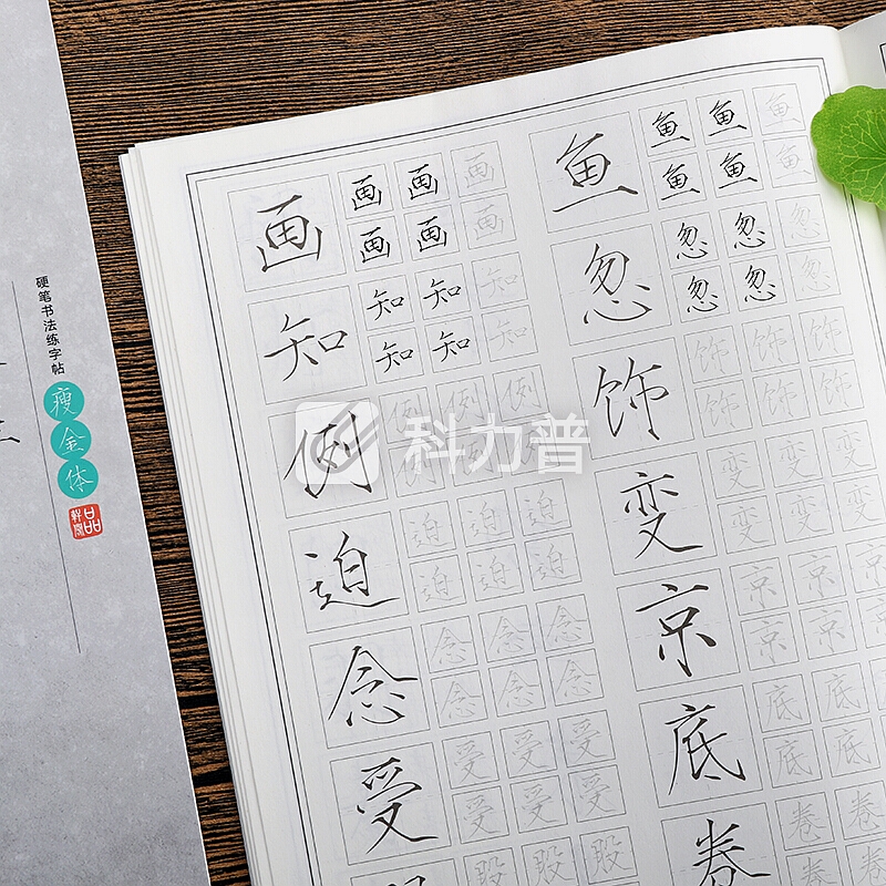 绍泽文化 瘦金体成人硬笔临摹练字帖 描红练字本10本装