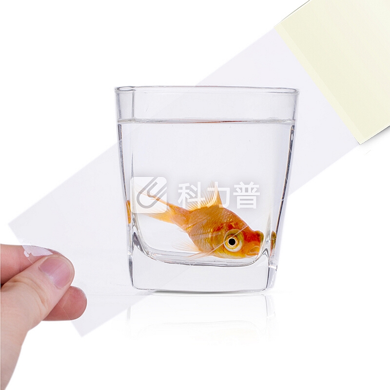 得力(deli)高品质透明封箱胶带/打包胶带 45mm*100m*50um 48卷/箱 33008