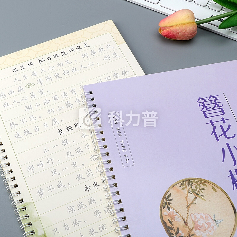 品轩阁 簪花小楷成人练字帖 4本 男生女生硬笔钢笔凹槽练字本