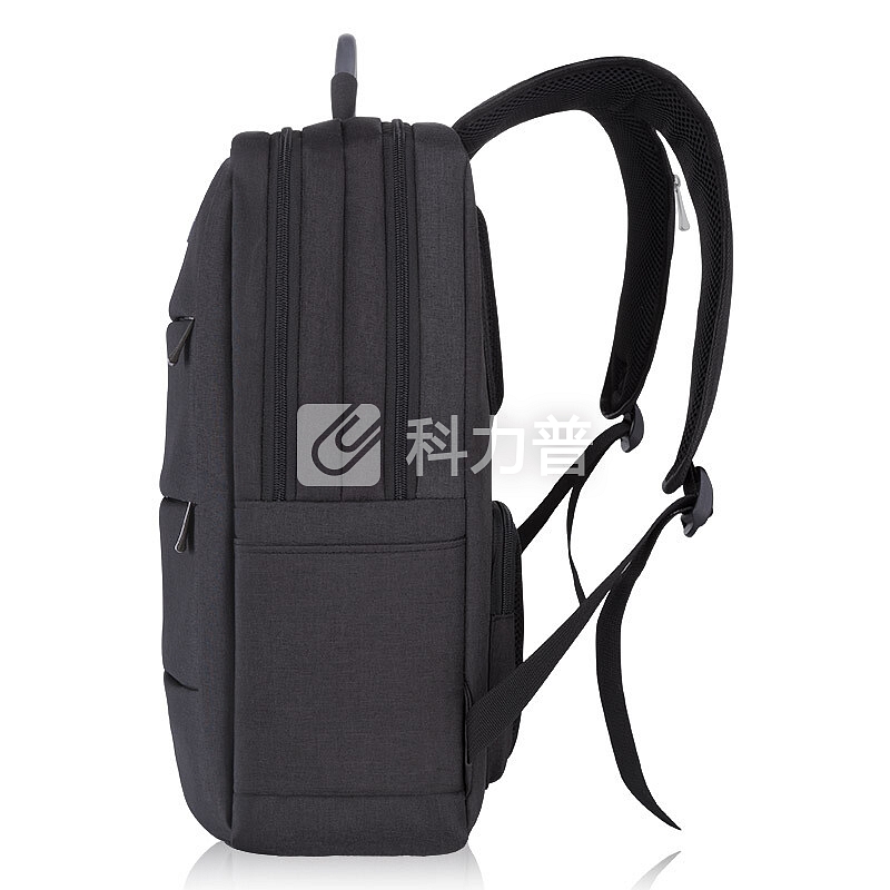 泰若（Taero）双肩背包 防水面料通用商务休闲双肩包笔记本电脑包 15.6英寸 9905 黑色