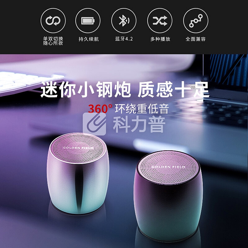金河田(Golden field)D55 TWS蓝牙音响轻巧便捷 重低音 一键互联迷你小钢炮 户外立体声蓝牙小音箱 银色