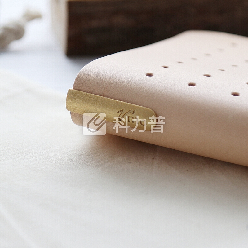 V’mo V'mo绑带笔记本 旅行日记本 旅行者手账本子套装(含内芯) 植鞣皮封面 C8100 原色 原色