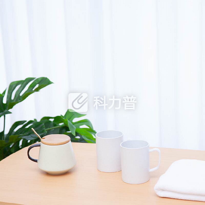禧天龙citylong 小麦漱口杯子 抗菌情侣牙刷杯刷牙杯儿童洗漱杯塑料牙缸白色 B-8510