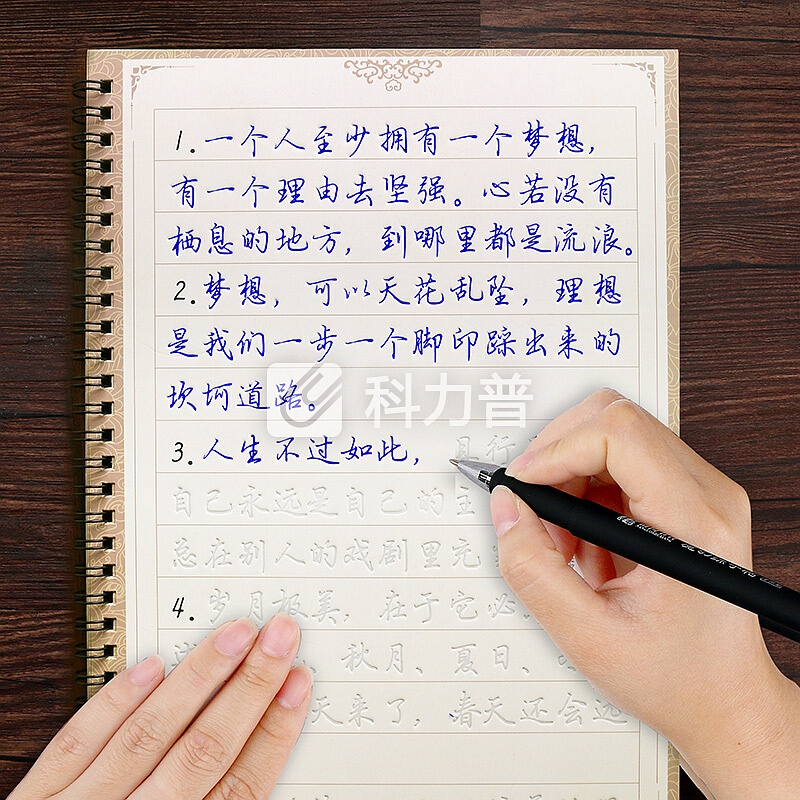 南国书香字帖升级12本成人练字帖男女生文具行书速成行楷书钢笔硬笔临摹字帖升级套装