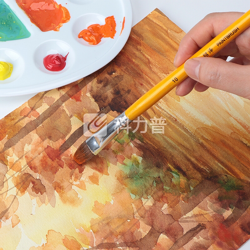 绍泽文化 多规格美术画笔 6支套装 学生水彩笔绘画文具组合 大黄蜂
